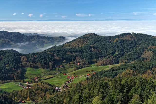 Schwarzwald