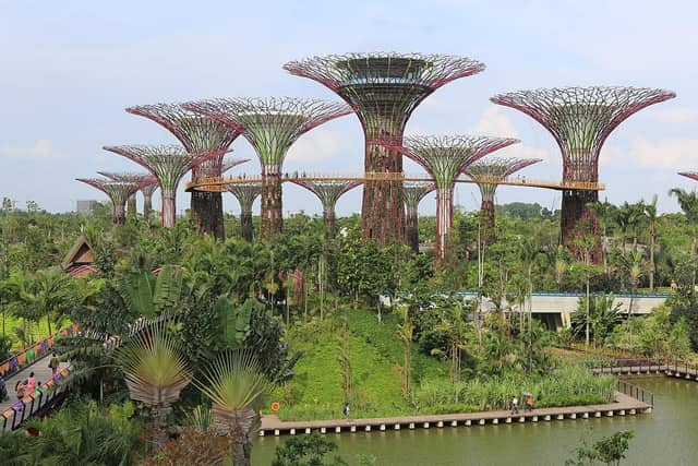Singapur